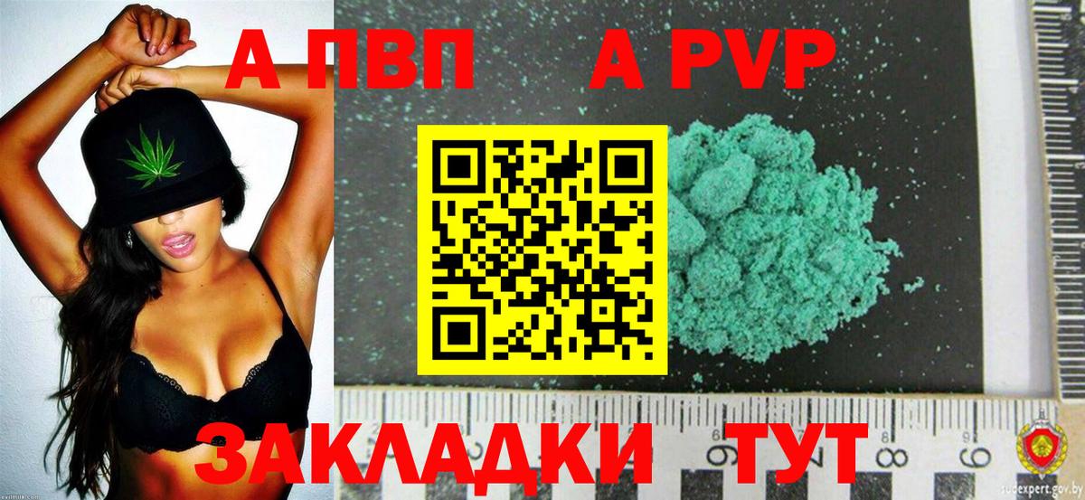 A PVP СК КРИС Сочи