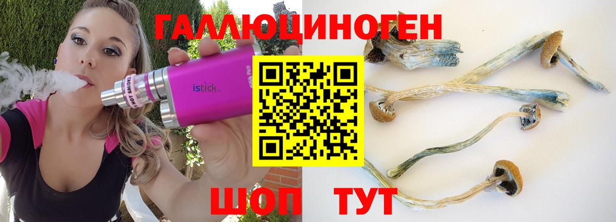 Сочи  цены наркотик  Вход с VPN  Галлюциногенные грибы прущие грибы 